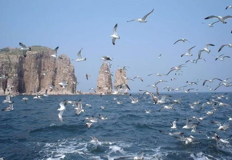 2018海岛军事夏令营