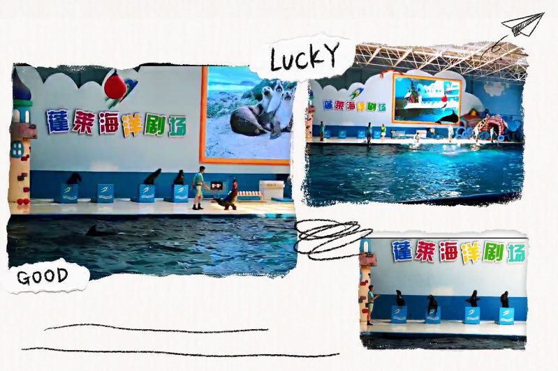 2018海岛军事夏令营