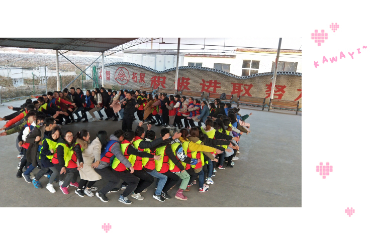 长治医学院2018年“青马工程”素质拓展训练营
